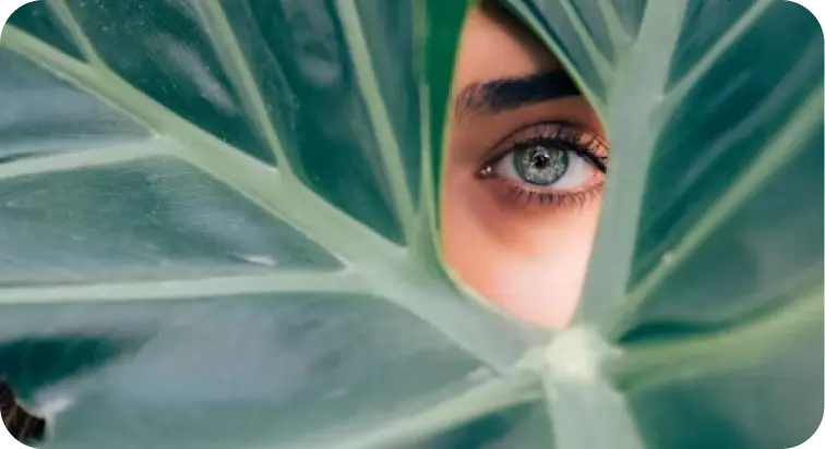 The Science Behind Natural Ingredients in Skincare 2